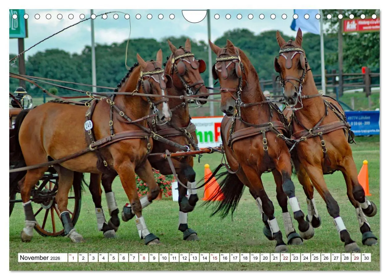 Bild: 9783457584248 | Vierspänner Herausforderung Fahrsport (Wandkalender 2026 DIN A4...