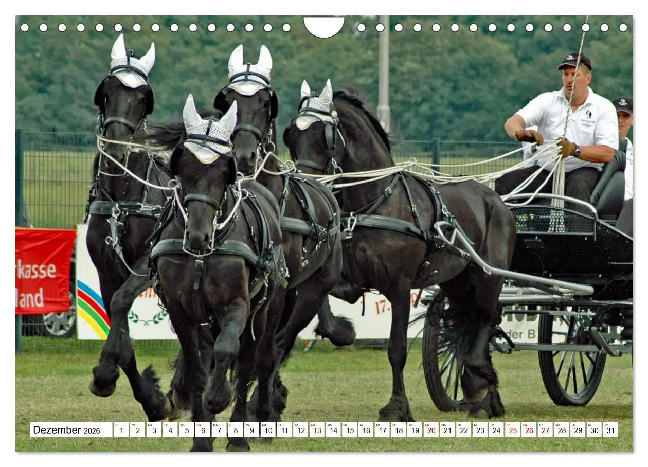 Bild: 9783457584248 | Vierspänner Herausforderung Fahrsport (Wandkalender 2026 DIN A4...