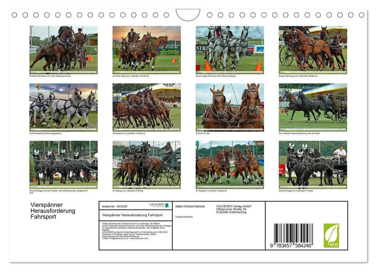 Bild: 9783457584248 | Vierspänner Herausforderung Fahrsport (Wandkalender 2026 DIN A4...
