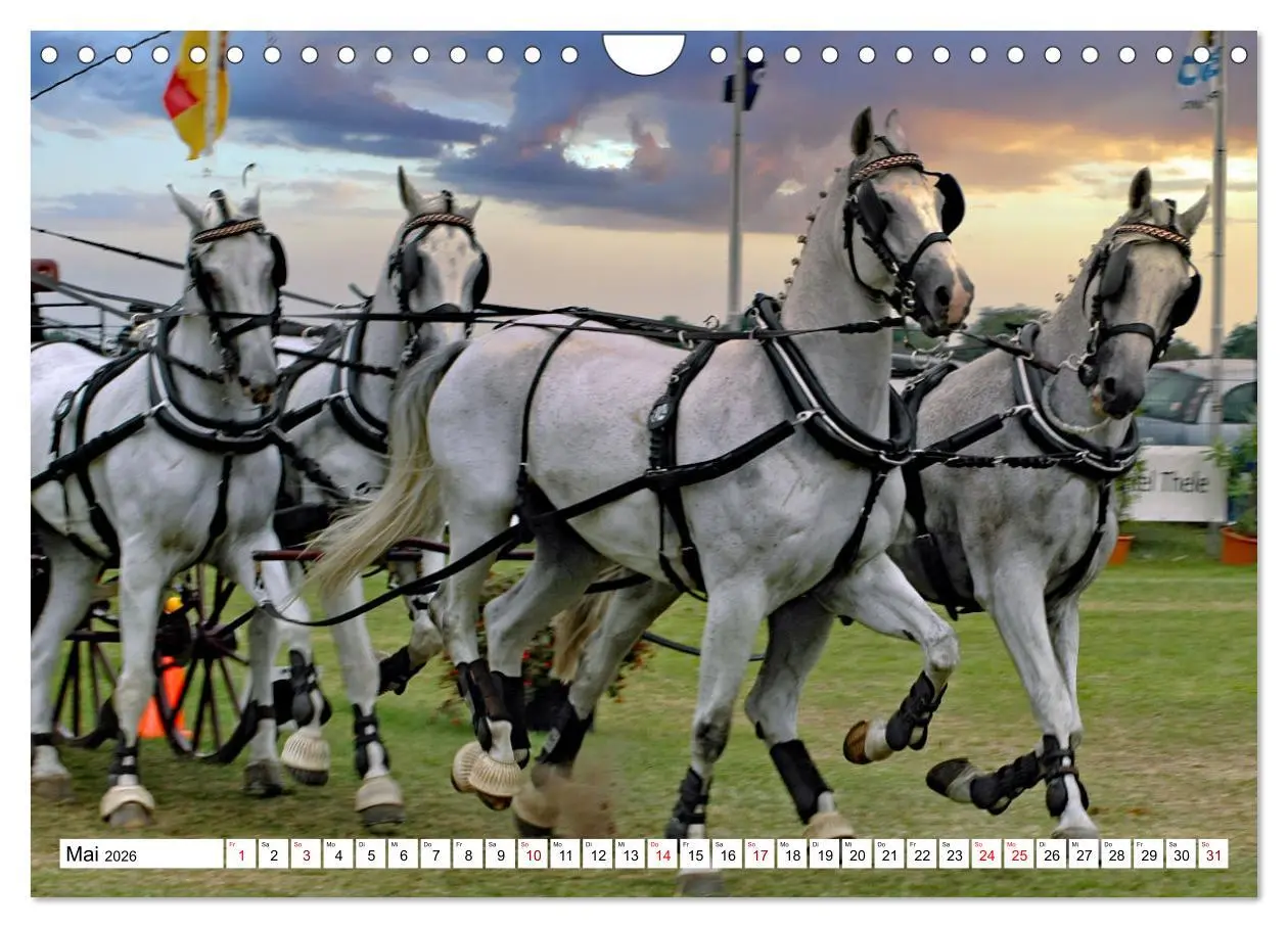 Bild: 9783457584248 | Vierspänner Herausforderung Fahrsport (Wandkalender 2026 DIN A4...