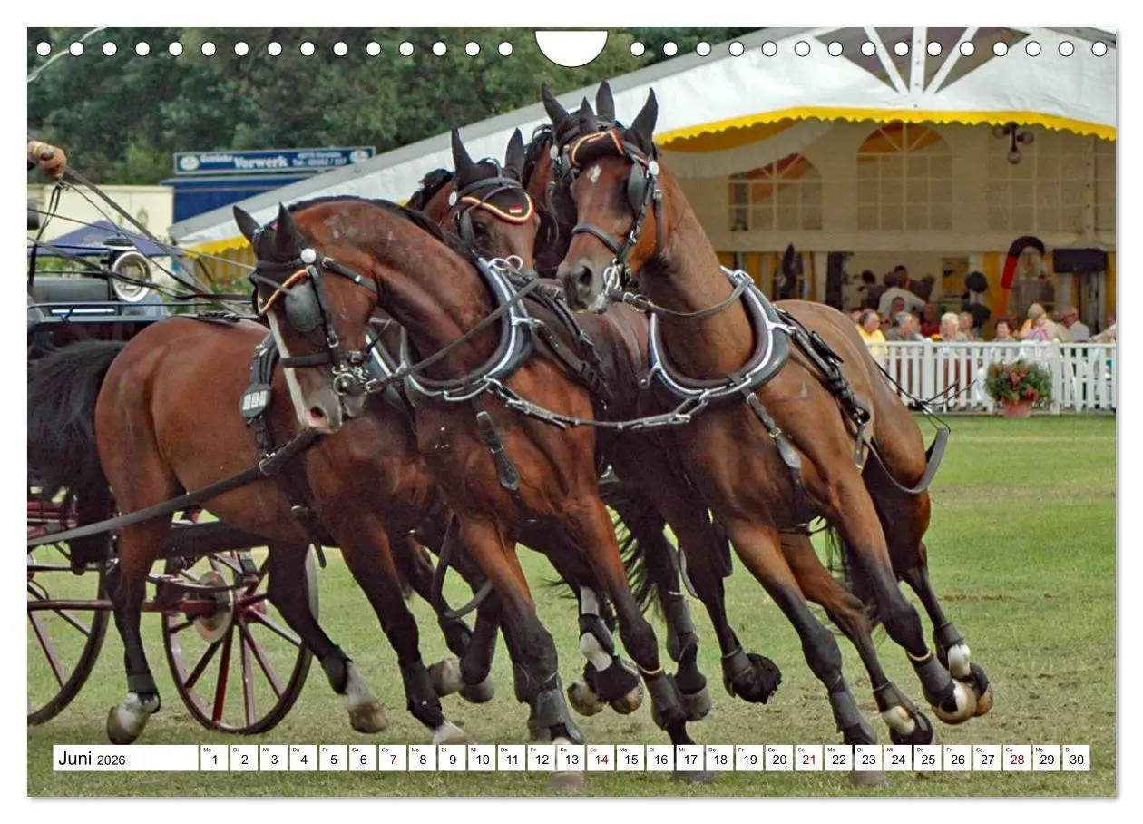 Bild: 9783457584248 | Vierspänner Herausforderung Fahrsport (Wandkalender 2026 DIN A4...