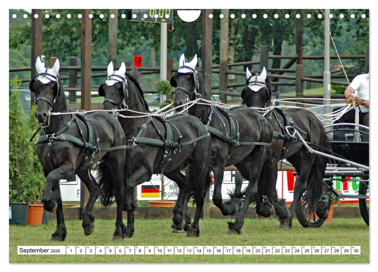 Bild: 9783457584248 | Vierspänner Herausforderung Fahrsport (Wandkalender 2026 DIN A4...
