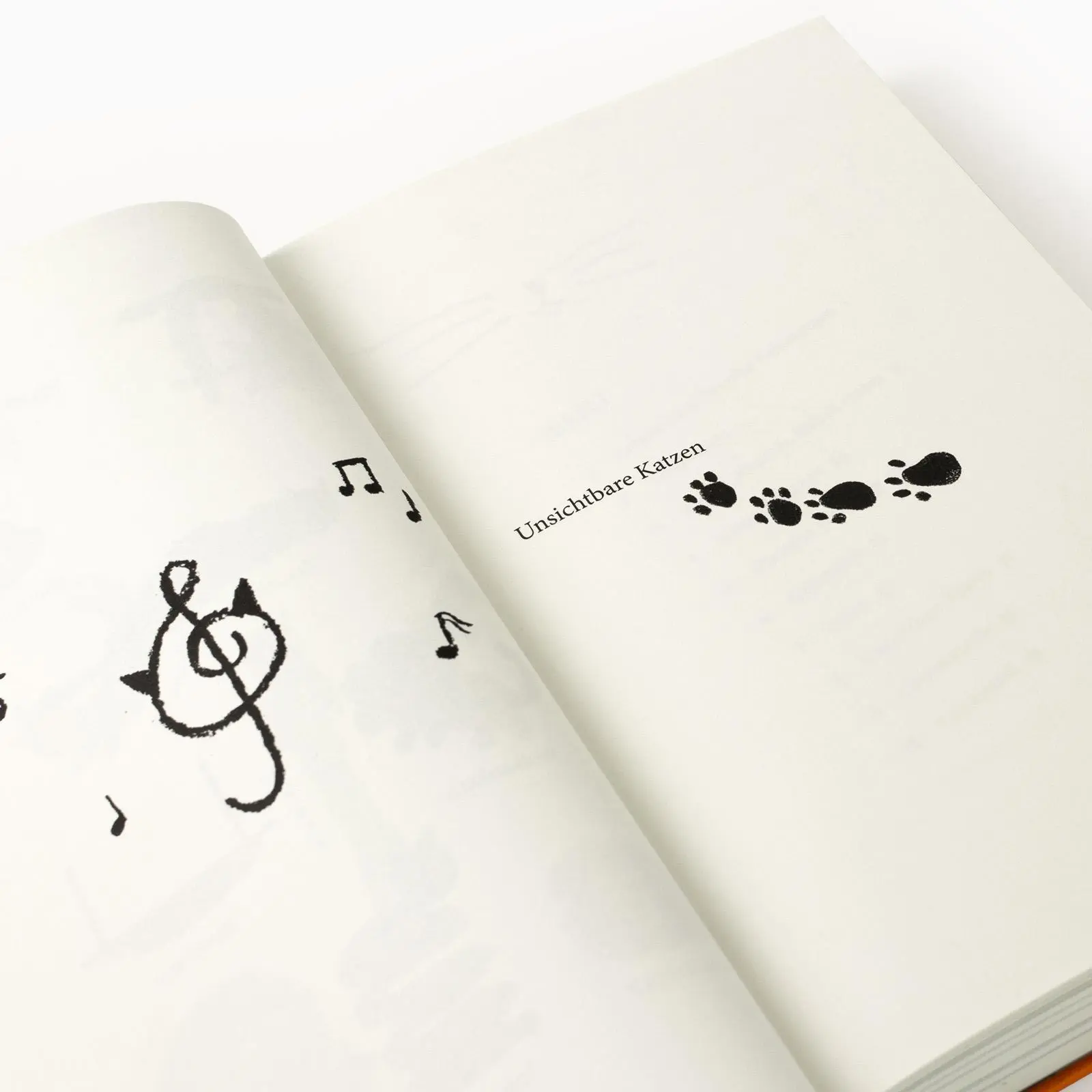 Bild: 9783458644248 | Unsichtbare Katzen | Yu Yoyo | Buch | 256 S. | Deutsch | 2024