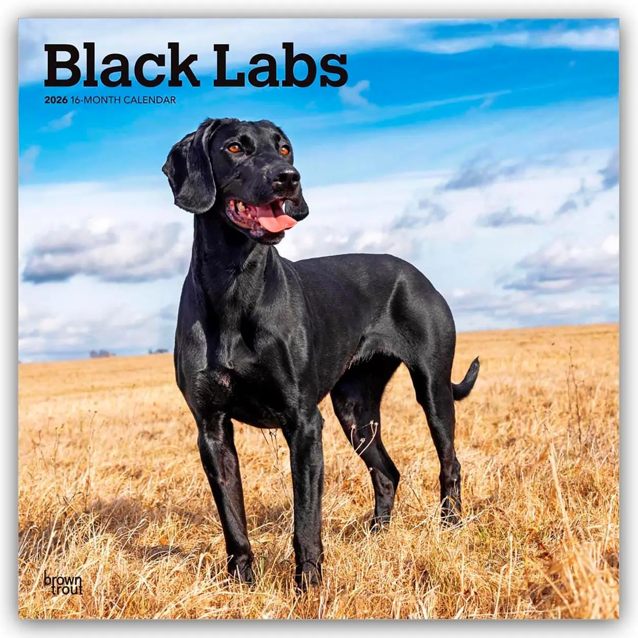 Cover: 9798330704248 | Black Labrador Retriever - Schwarze Labrador Retriever 2026 -...