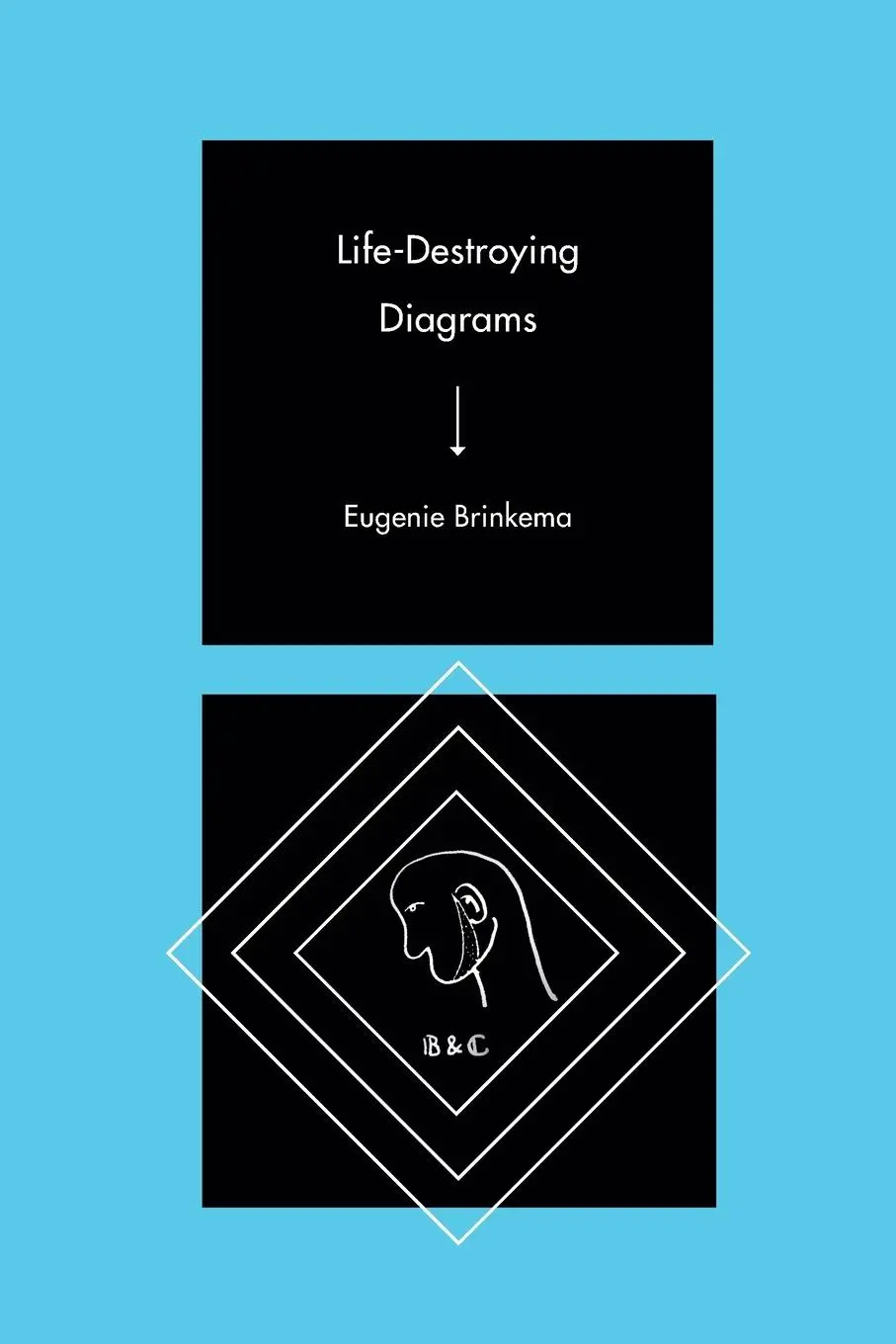 Cover: 9781478014348 | Life-Destroying Diagrams | Eugenie Brinkema | Taschenbuch | Englisch