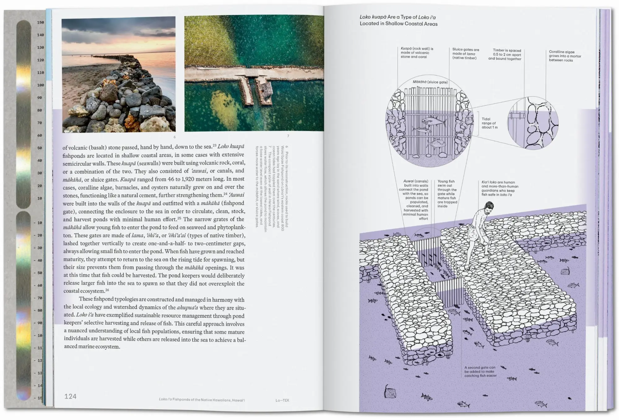 Bild: 9783836594448 | Julia Watson. Lo-TEK. Water. A Field Guide for TEKnology | Watson