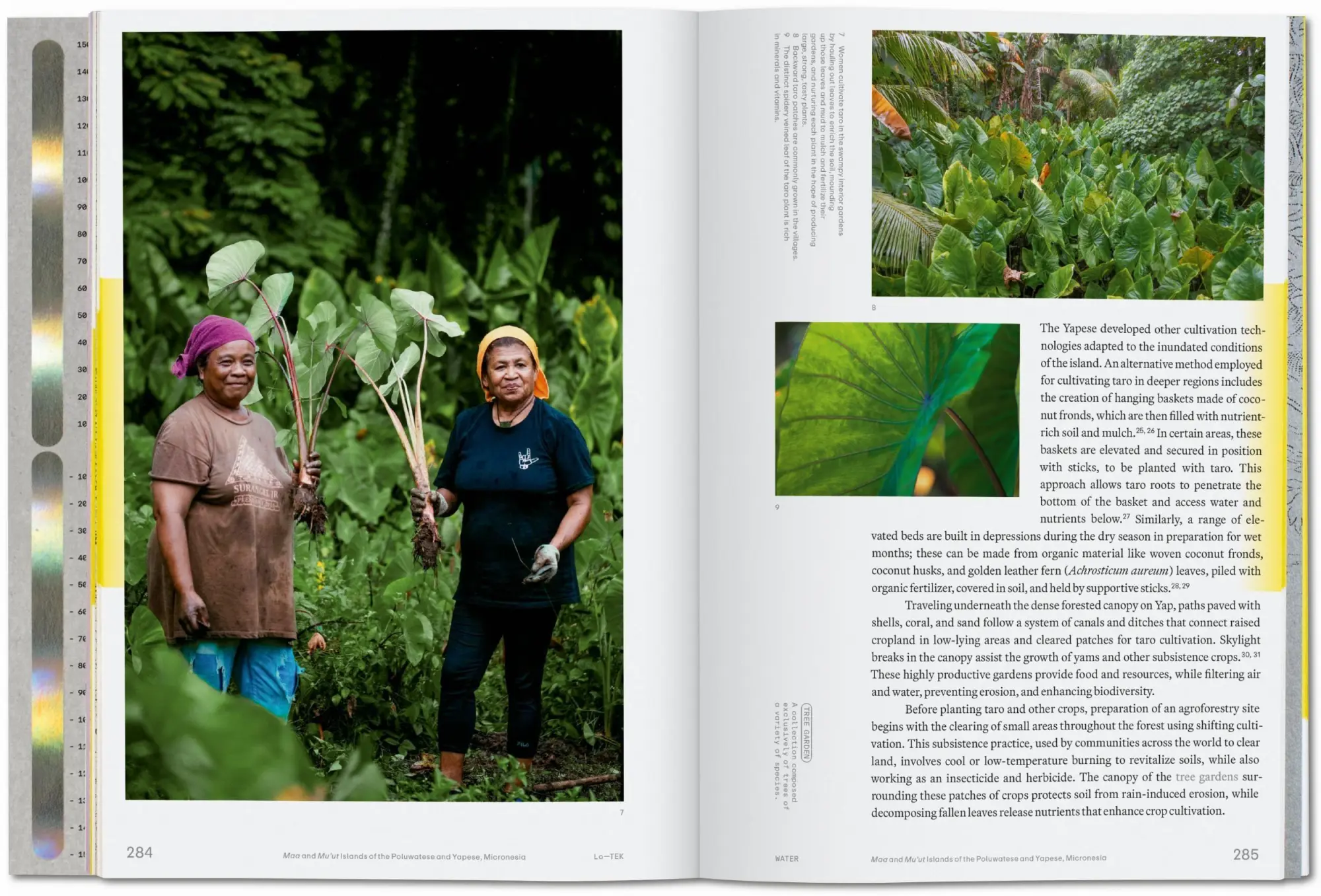 Bild: 9783836594448 | Julia Watson. Lo-TEK. Water. A Field Guide for TEKnology | Watson