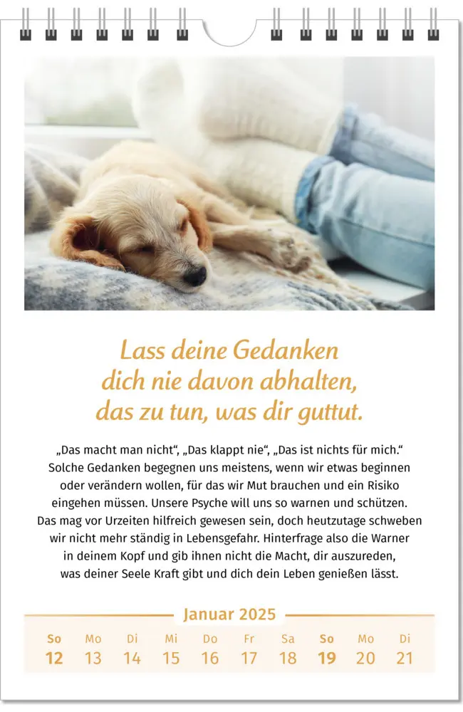 Bild: 9783910294448 | Der Lebensfreude-Kalender 2025 | Doris Wolf (u. a.) | Kalender | 2025