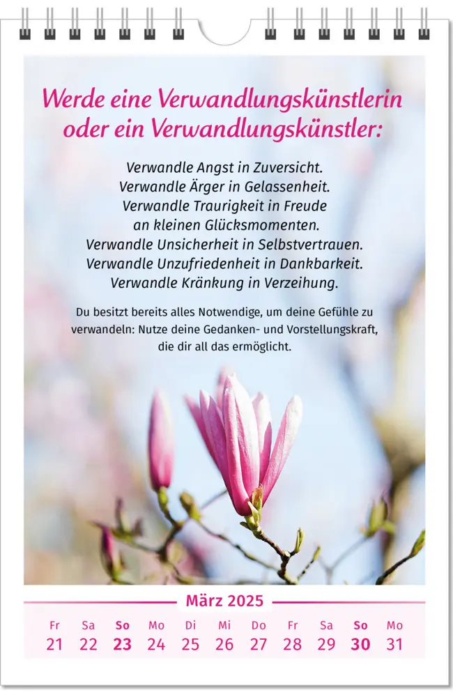 Bild: 9783910294448 | Der Lebensfreude-Kalender 2025 | Doris Wolf (u. a.) | Kalender | 2025