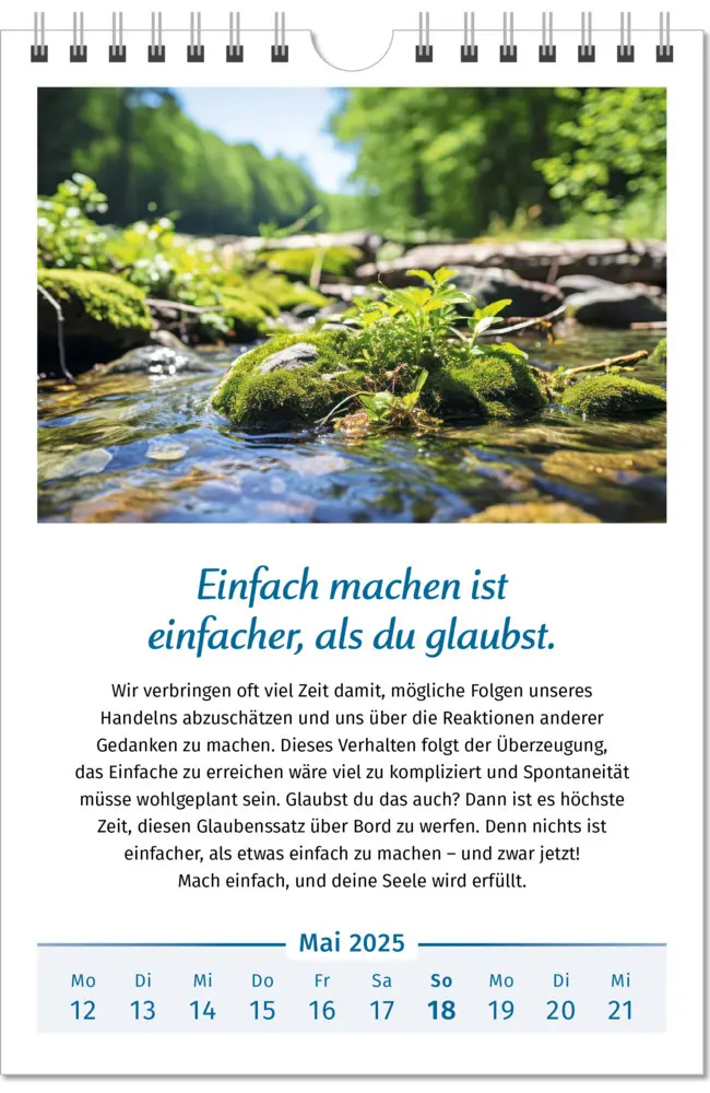 Bild: 9783910294448 | Der Lebensfreude-Kalender 2025 | Doris Wolf (u. a.) | Kalender | 2025