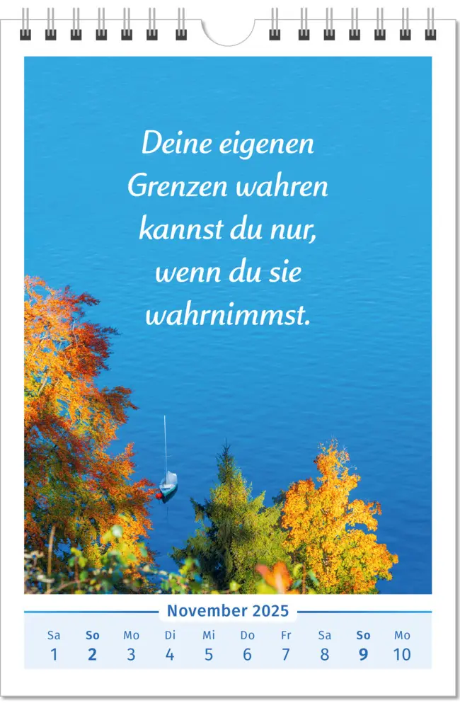 Bild: 9783910294448 | Der Lebensfreude-Kalender 2025 | Doris Wolf (u. a.) | Kalender | 2025