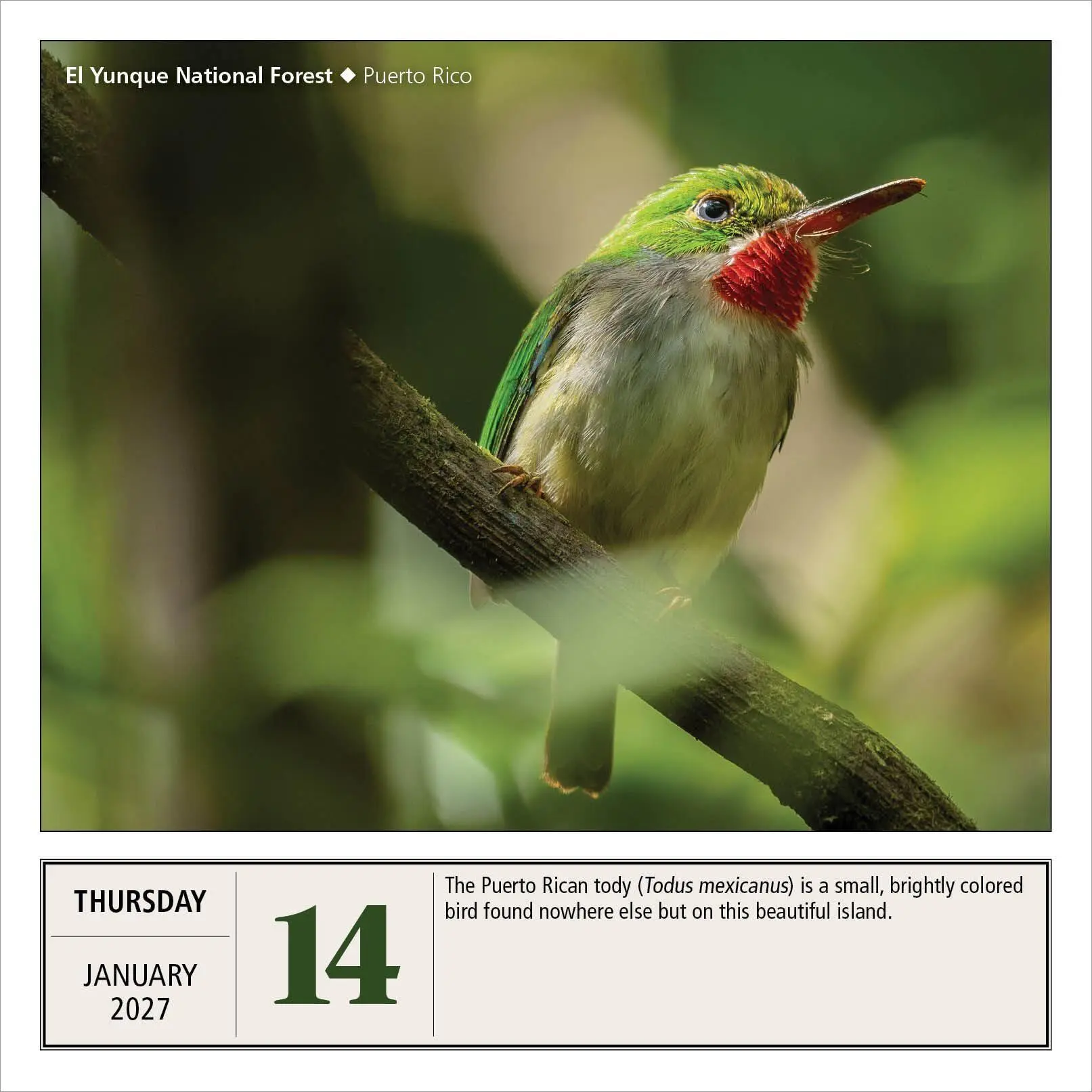 Bild: 9781523534548 | National Parks Page-A-Day® Calendar 2027 | Workman Calendars | 2027