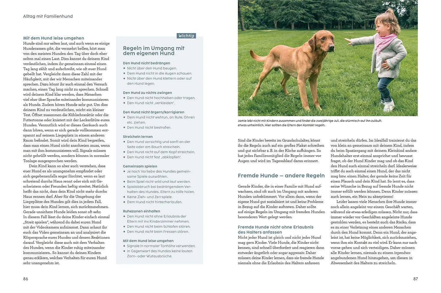 Bild: 9783440174548 | Hund und Kind - mit Martin Rütter | So werden sie zum perfekten Team