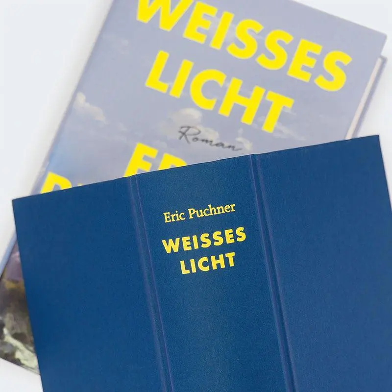 Bild: 9783446284548 | Weißes Licht | Roman | Eric Puchner | Buch | 528 S. | Deutsch | 2025