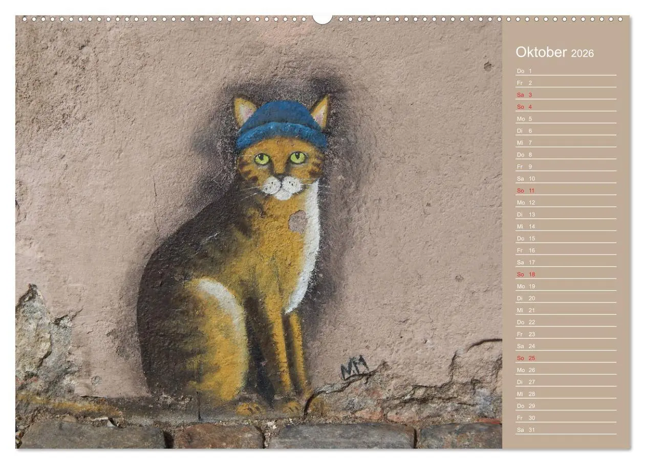 Bild: 9783457934548 | Flensburger Katzen (Wandkalender 2026 DIN A2 quer), CALVENDO...