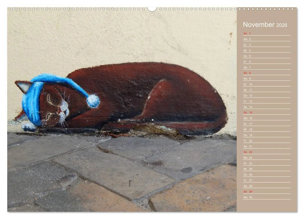 Bild: 9783457934548 | Flensburger Katzen (Wandkalender 2026 DIN A2 quer), CALVENDO...