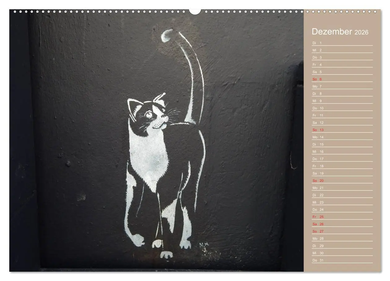 Bild: 9783457934548 | Flensburger Katzen (Wandkalender 2026 DIN A2 quer), CALVENDO...
