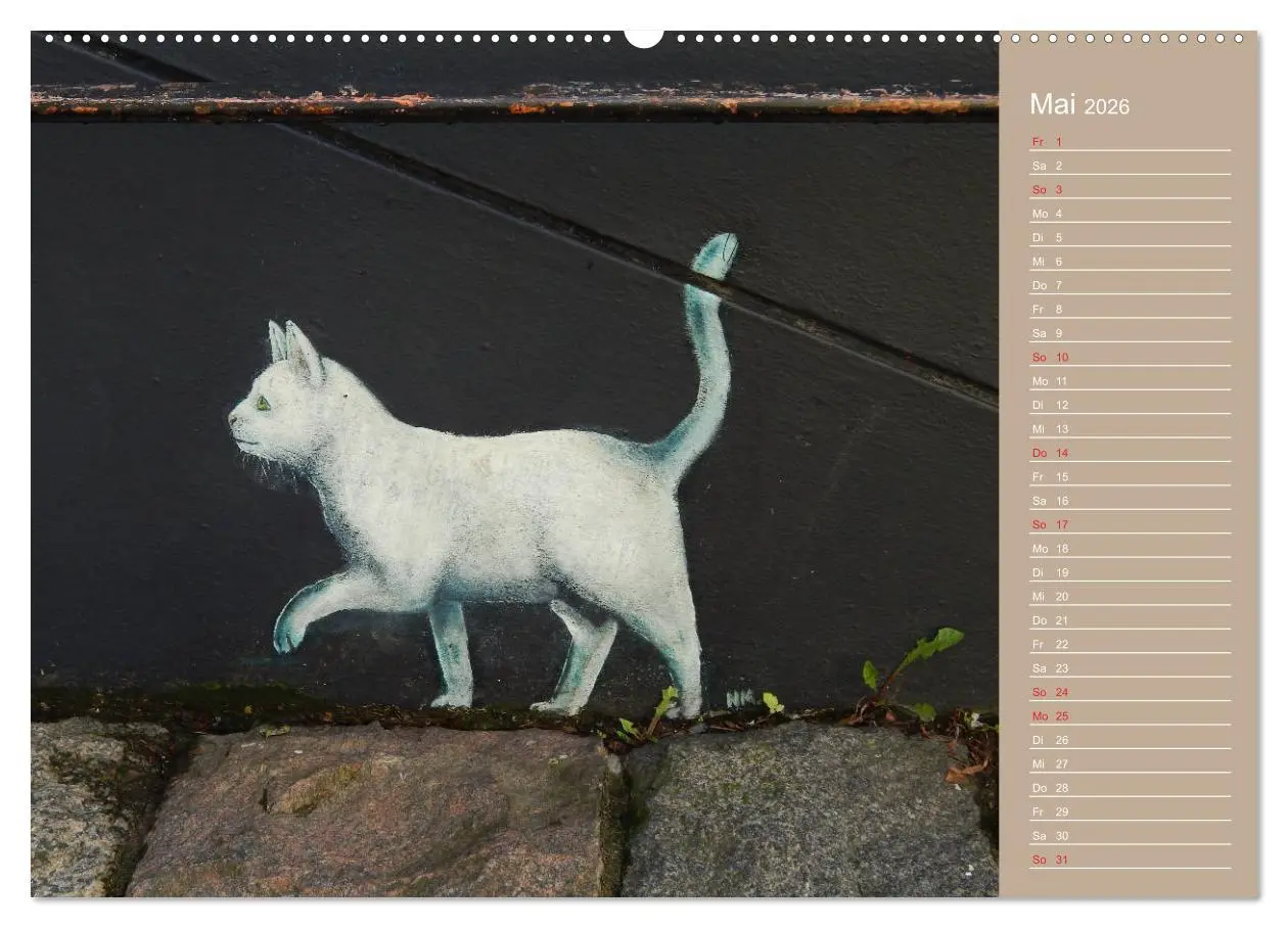 Bild: 9783457934548 | Flensburger Katzen (Wandkalender 2026 DIN A2 quer), CALVENDO...