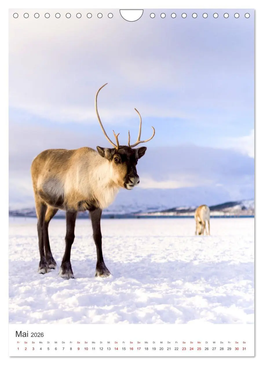 Bild: 9783516334548 | Finnland - Bezaubernde Schönheit. (Wandkalender 2026 DIN A4 hoch),...