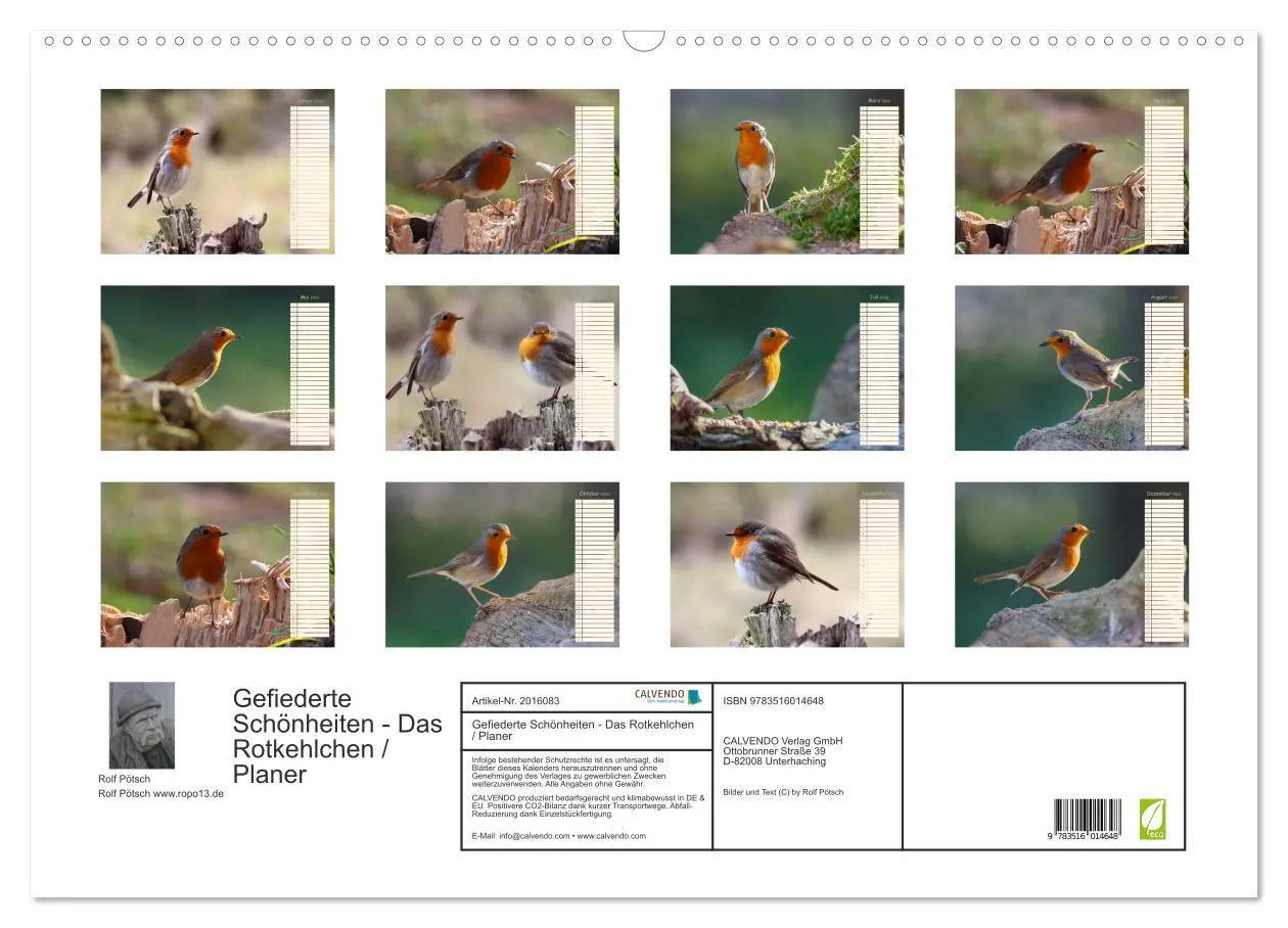 Bild: 9783516014648 | Gefiederte Schönheiten - Das Rotkehlchen / Planer (Wandkalender...