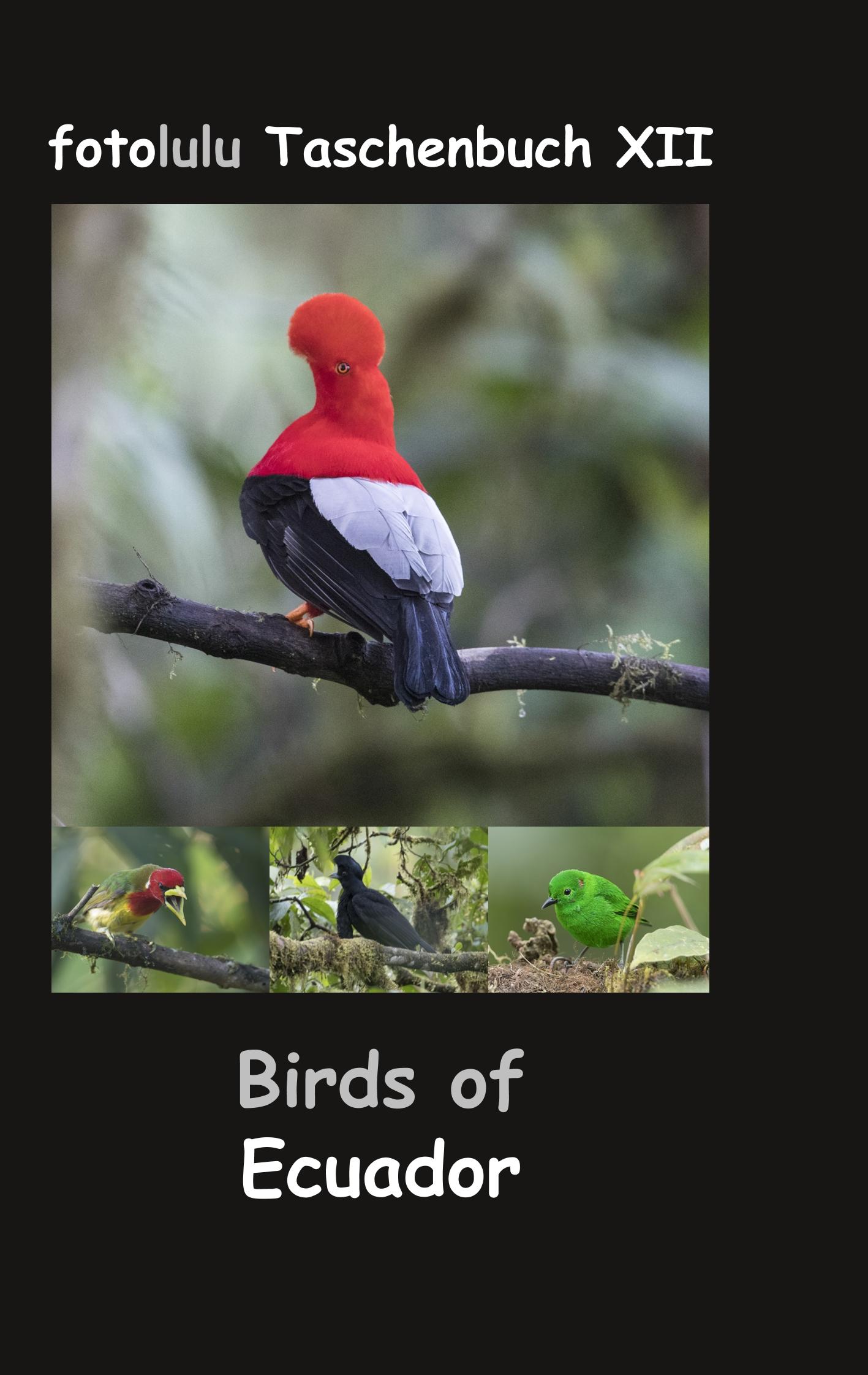 Cover: 9783750414648 | Birds of Ecuador | fotolulu Taschenbuch XII | Fotolulu | Taschenbuch