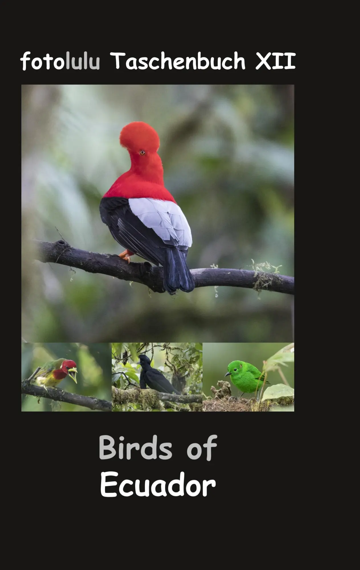 Cover: 9783750414648 | Birds of Ecuador | fotolulu Taschenbuch XII | Fotolulu | Taschenbuch