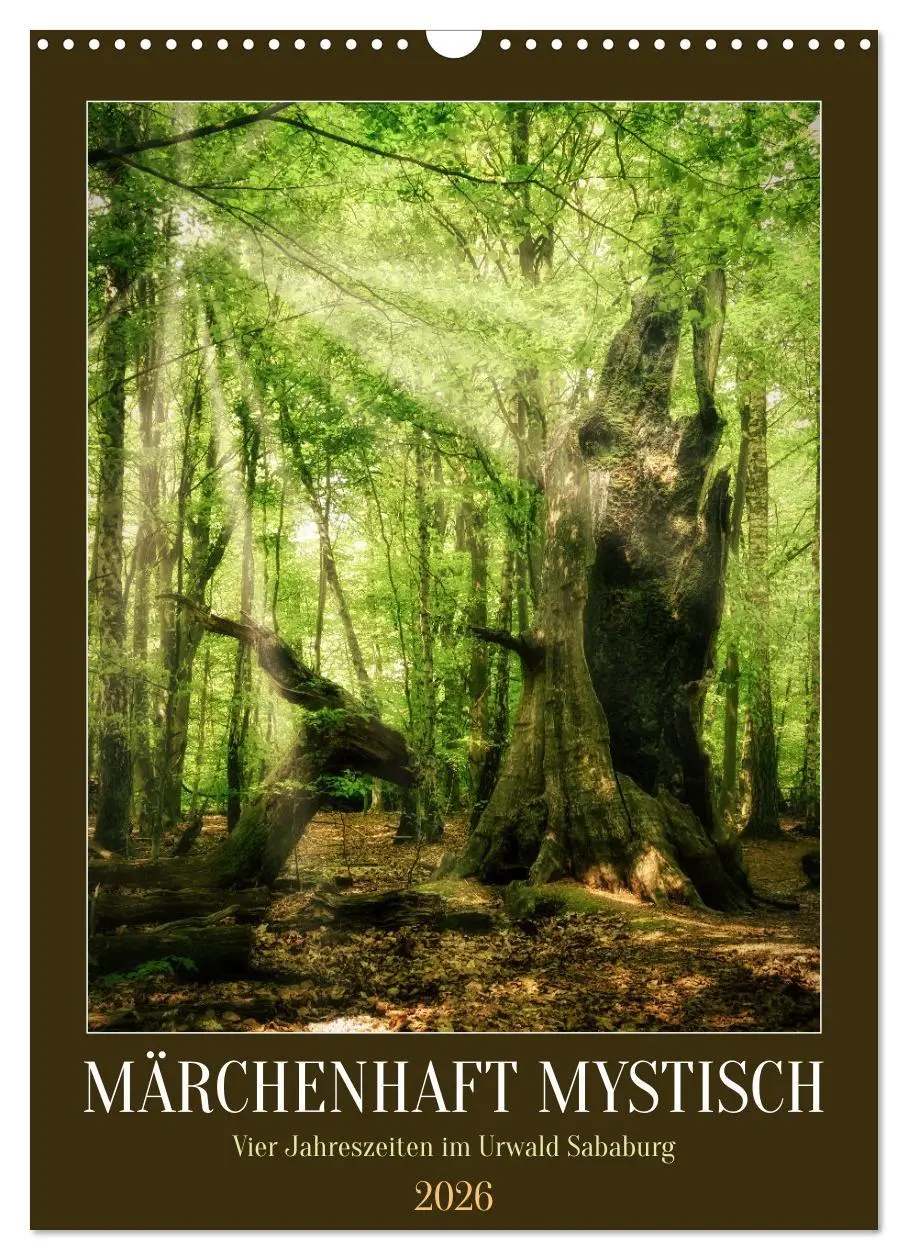 Cover: 9783516314748 | Märchenhaft mystisch (Wandkalender 2026 DIN A3 hoch), CALVENDO...