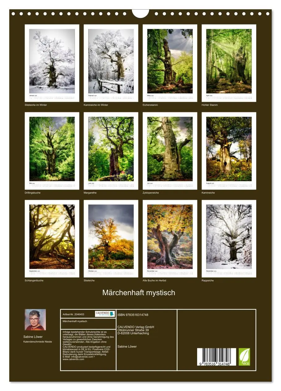 Bild: 9783516314748 | Märchenhaft mystisch (Wandkalender 2026 DIN A3 hoch), CALVENDO...