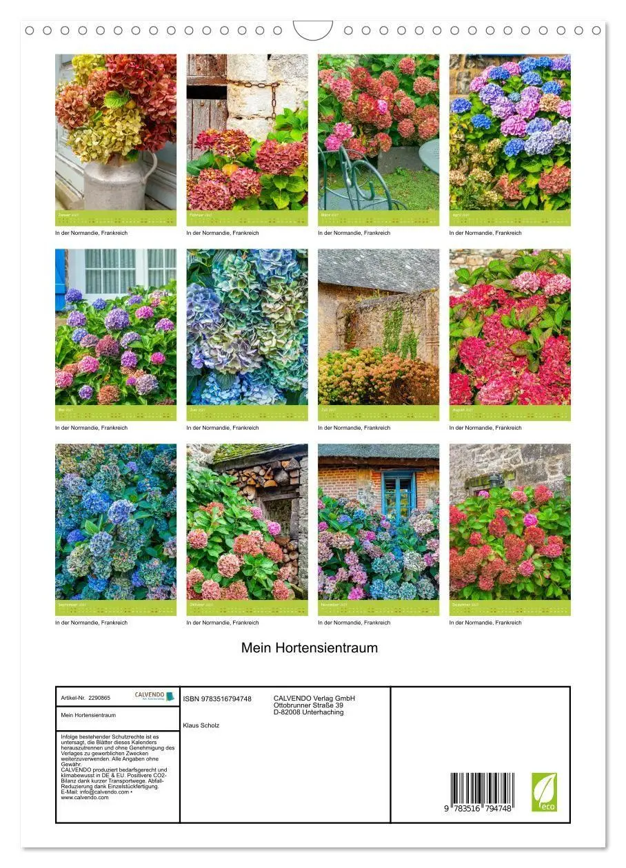 Bild: 9783516794748 | Mein Hortensientraum (Wandkalender 2027 DIN A3 hoch), CALVENDO...