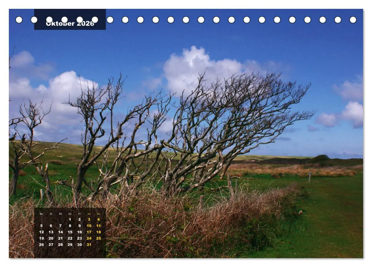 Bild: 9783457834848 | Texel Insel mit Charakter (Tischkalender 2026 DIN A5 quer),...