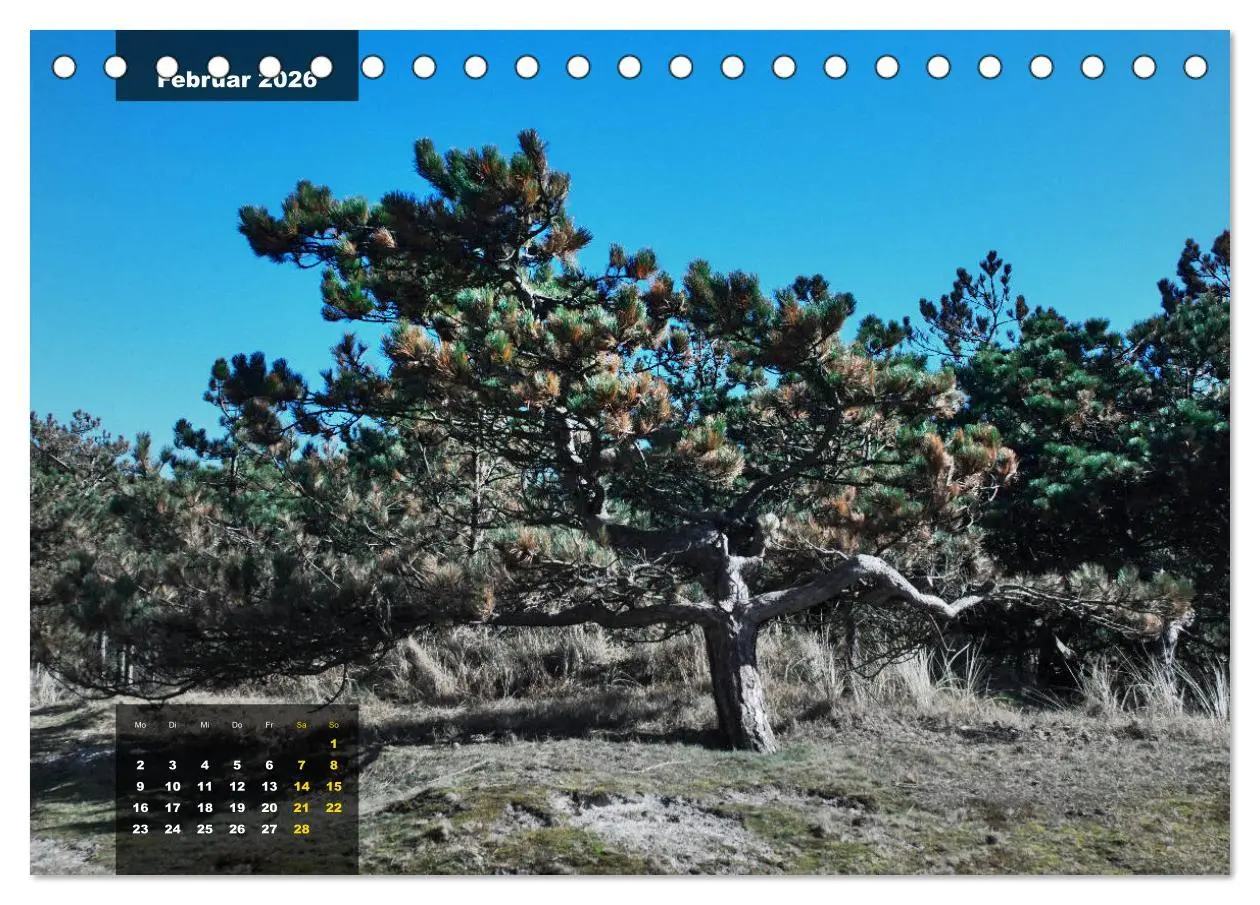 Bild: 9783457834848 | Texel Insel mit Charakter (Tischkalender 2026 DIN A5 quer),...