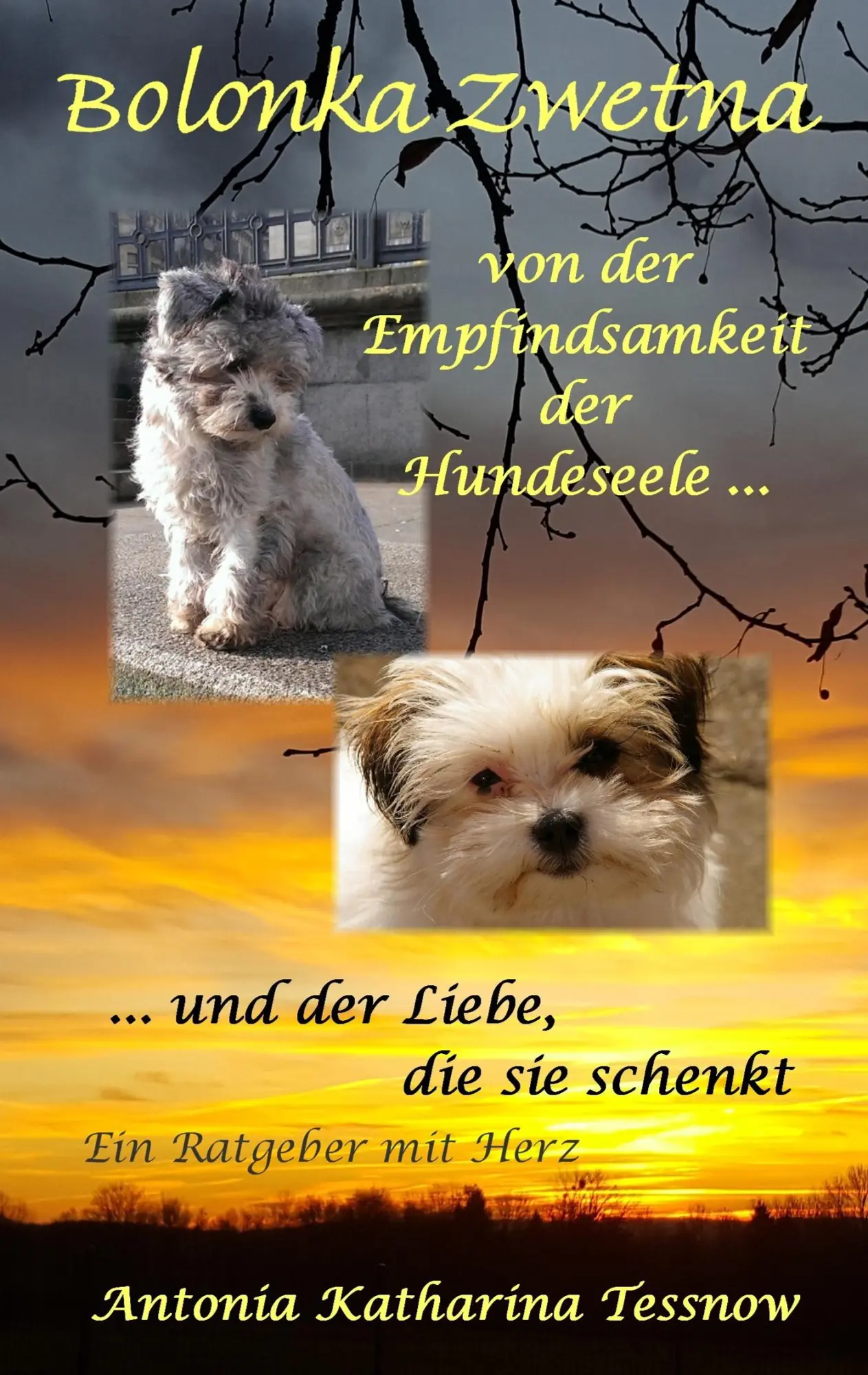 Cover: 9783740734848 | Bolonka Zwetna | Antonia Katharina Tessnow | Taschenbuch | 136 S.