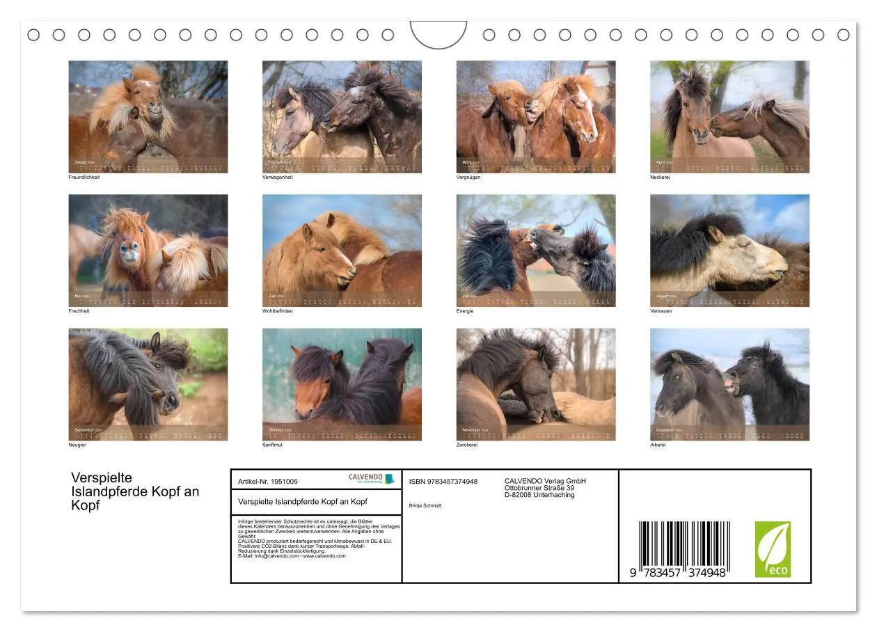 Bild: 9783457374948 | Verspielte Islandpferde Kopf an Kopf (Wandkalender 2026 DIN A4...