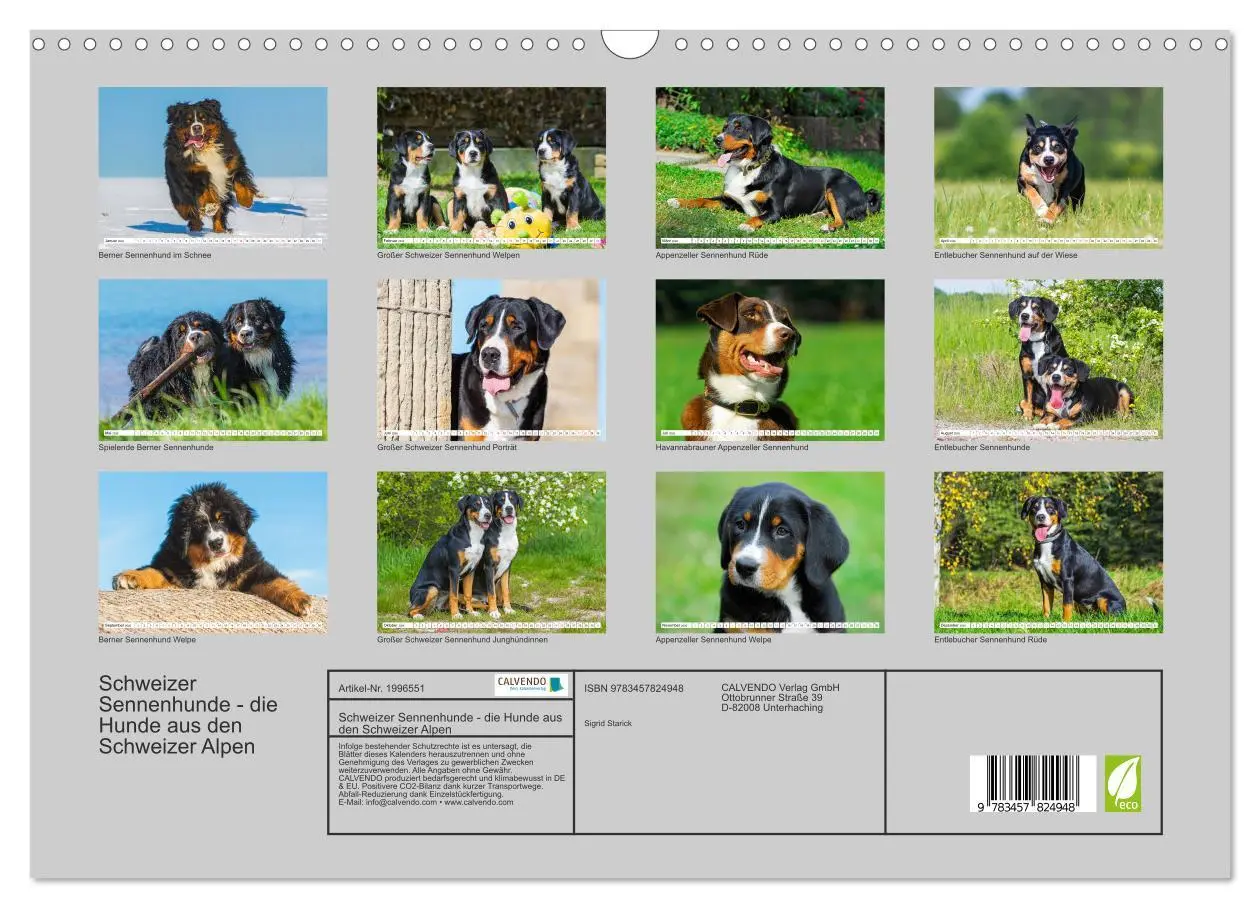 Bild: 9783457824948 | Schweizer Sennenhunde - die Hunde aus den Schweizer Alpen...