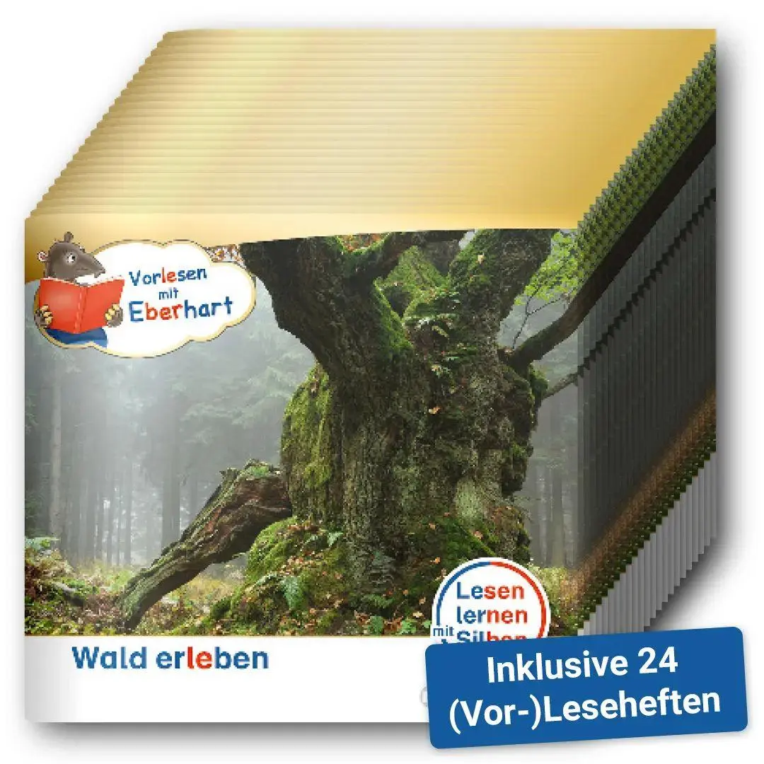 Bild: 9783619044948 | Kamishibai mit Eberhart - Wald erleben - Set | Nicole Brandau (u. a.)