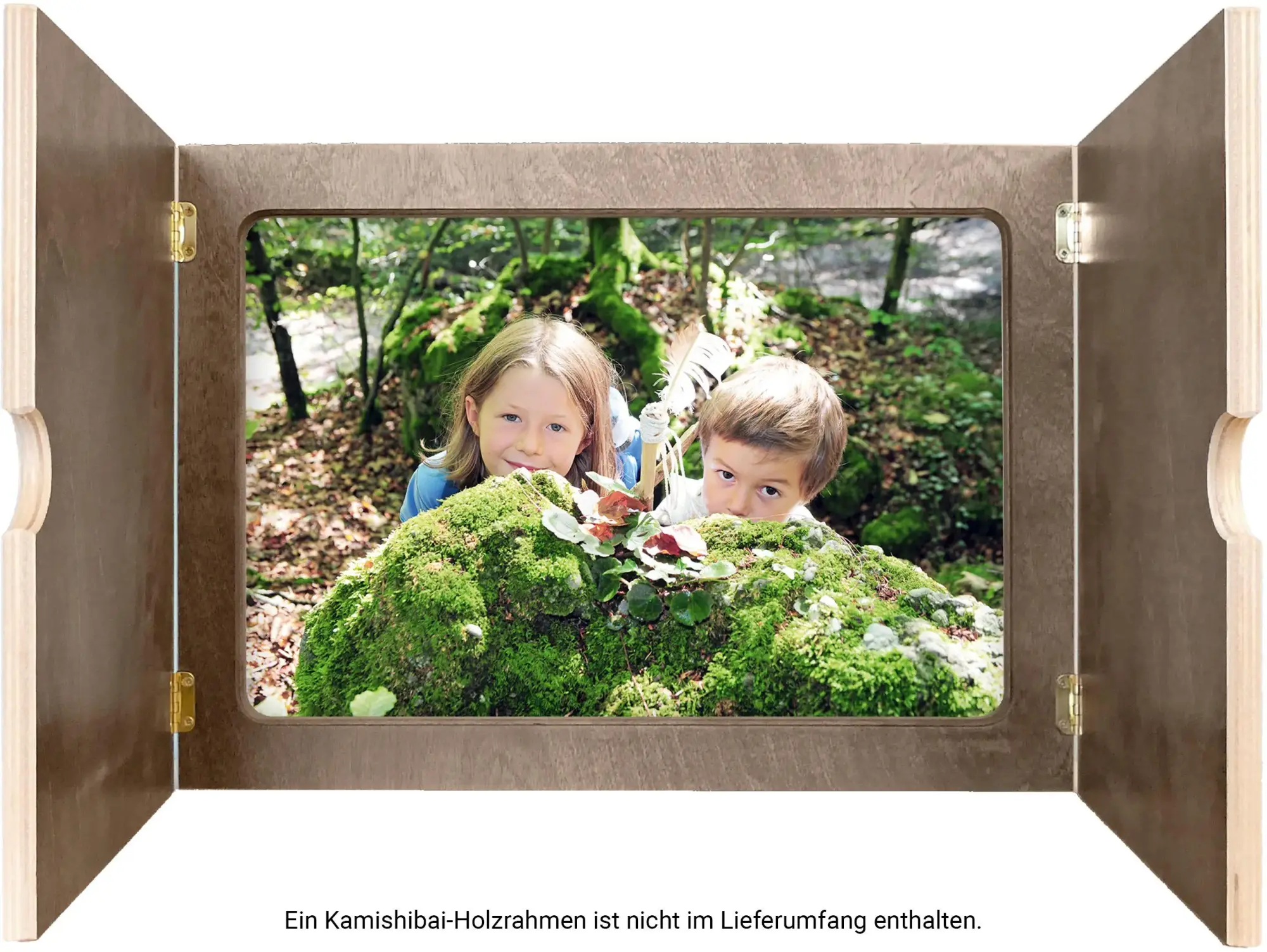 Bild: 9783619044948 | Kamishibai mit Eberhart - Wald erleben - Set | Nicole Brandau (u. a.)