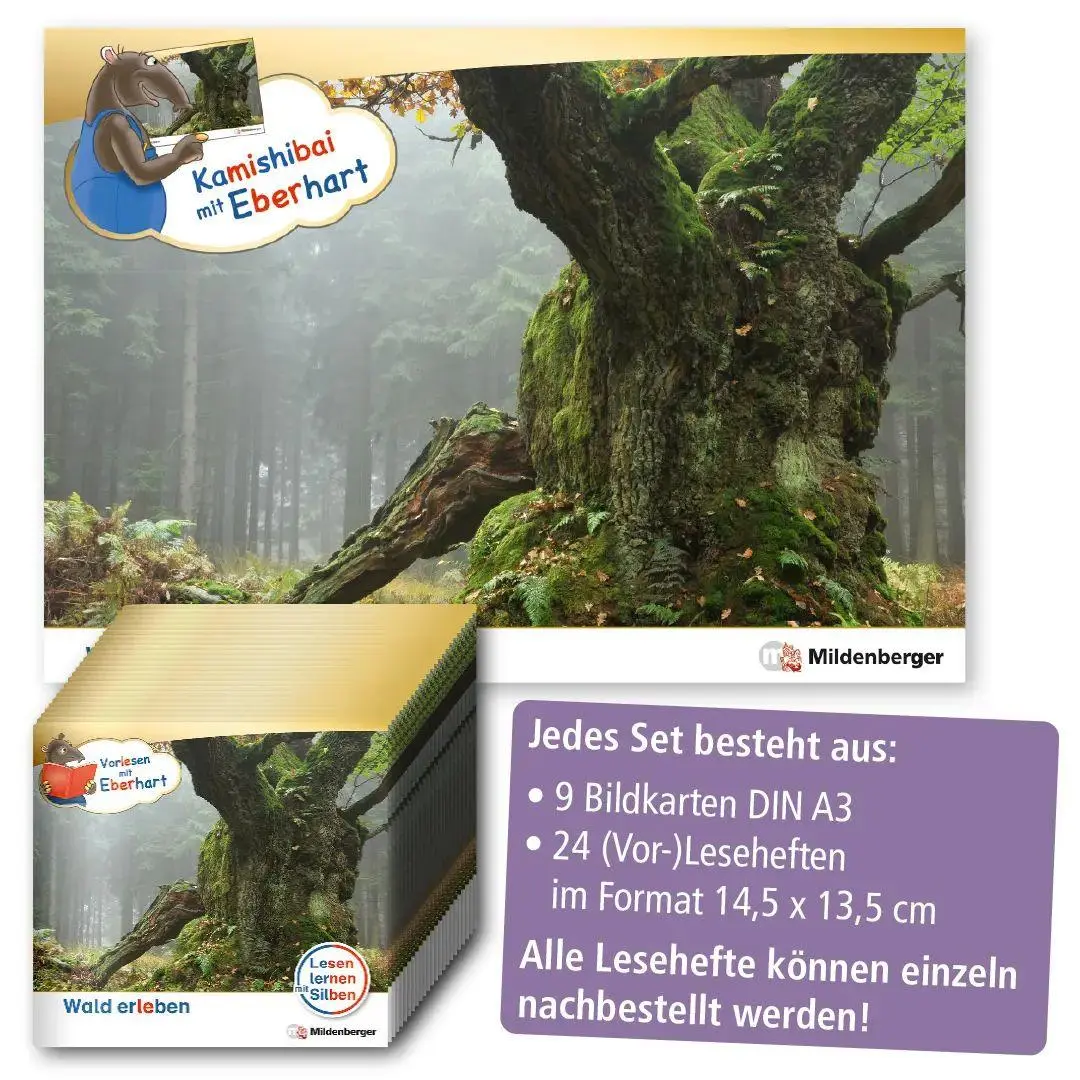Bild: 9783619044948 | Kamishibai mit Eberhart - Wald erleben - Set | Nicole Brandau (u. a.)