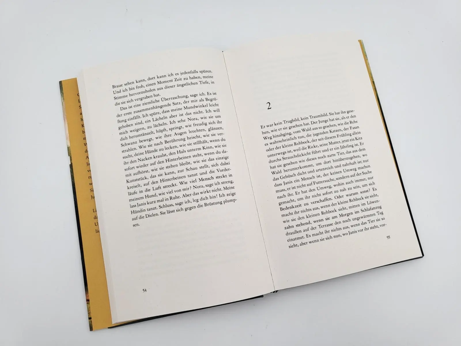 Bild: 9783827014948 | Jetzt bist du da | Sandra Hoffmann | Buch | 240 S. | Deutsch | 2023