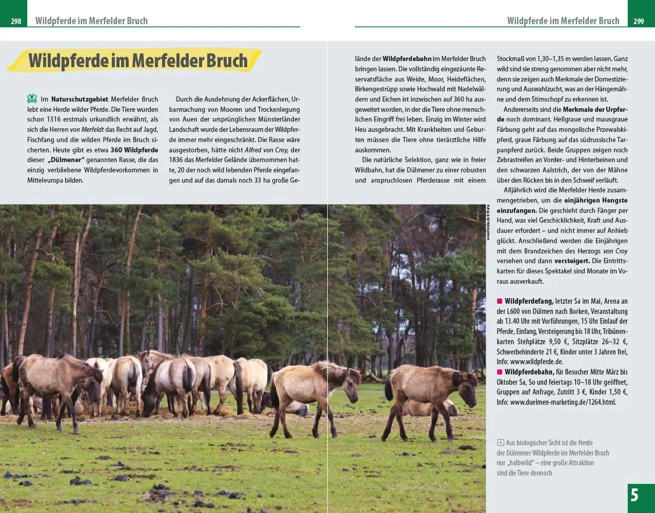 Bild: 9783831734948 | Reise Know-How Reiseführer Münsterland | Hans Otzen (u. a.) | Buch