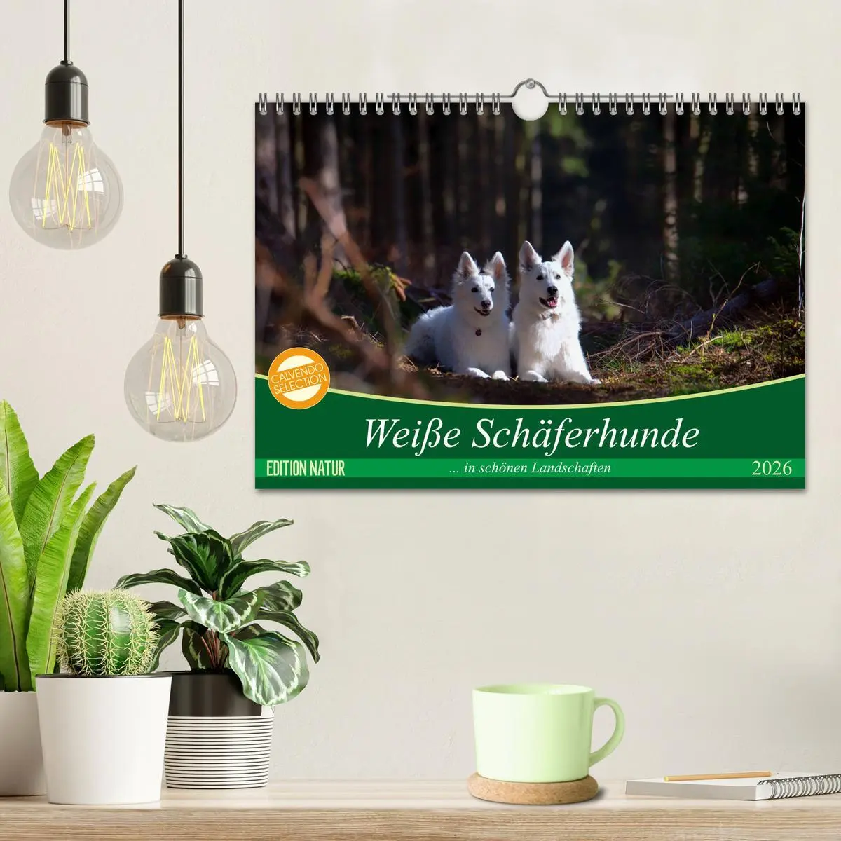 Bild: 9783457885048 | Weiße Schäferhunde in schönen Landschaften (Wandkalender 2026 DIN...