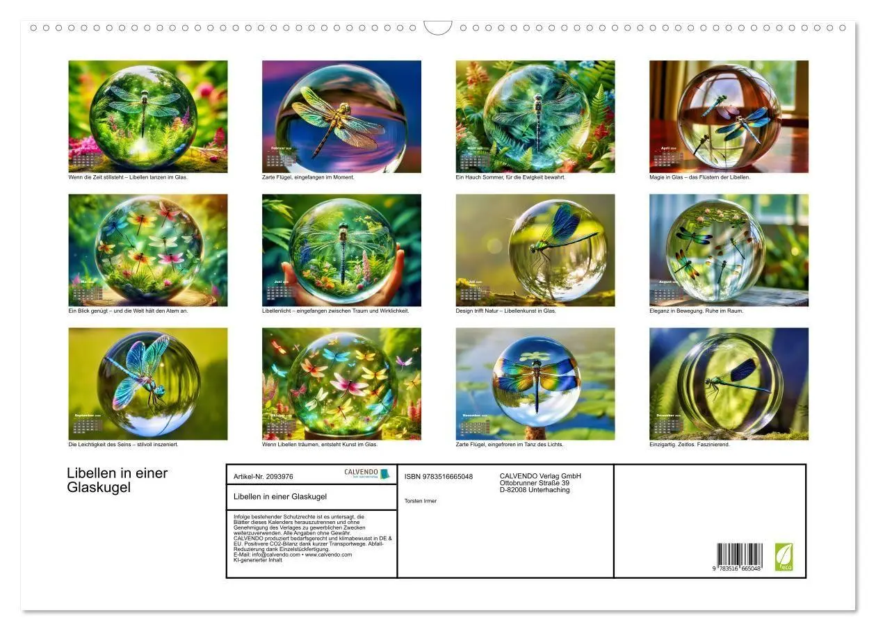 Bild: 9783516665048 | Libellen in einer Glaskugel (Wandkalender 2026 DIN A2 quer),...