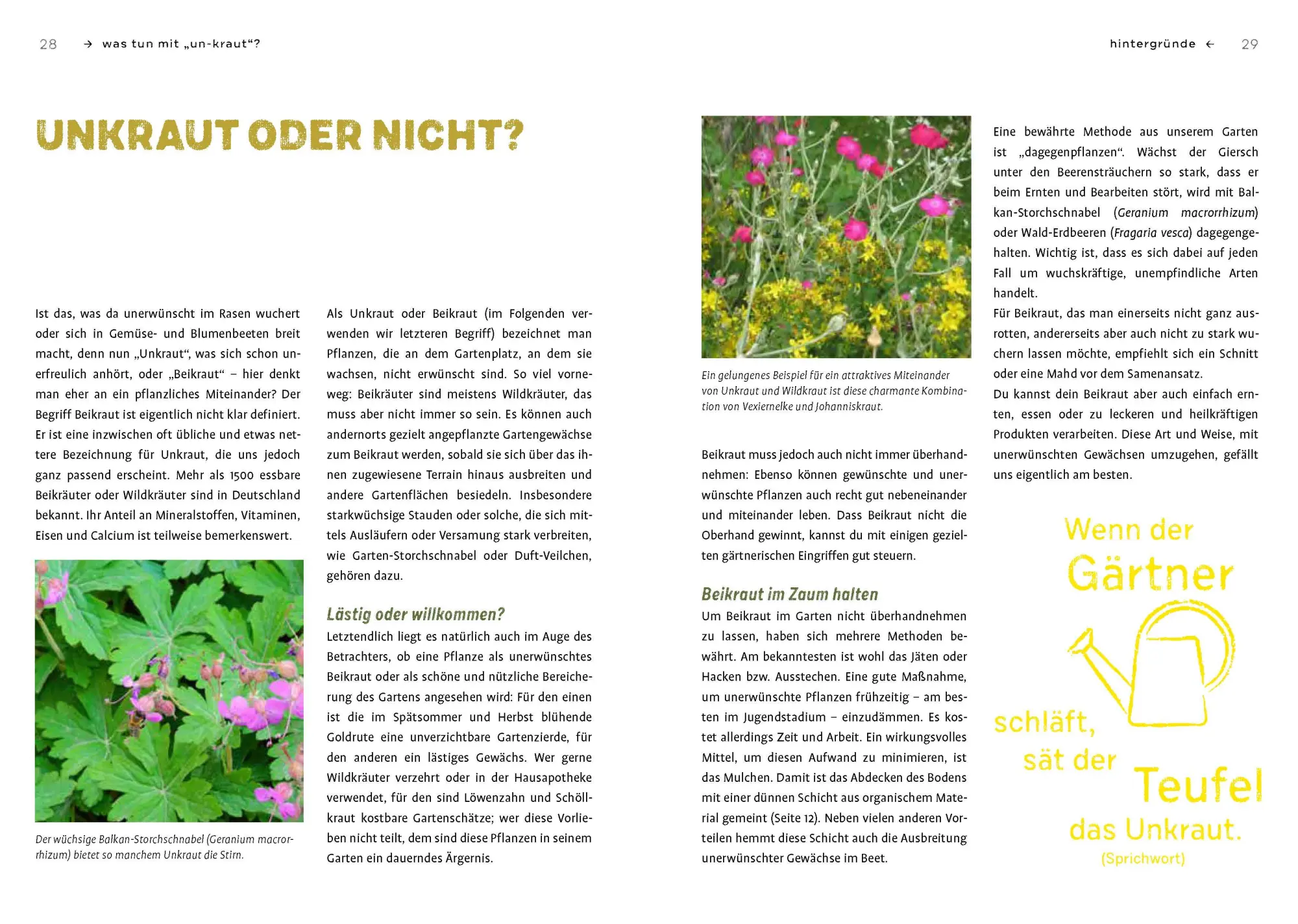 Bild: 9783818615048 | Gartenabfall gibt's nicht | Renate Hudak (u. a.) | Taschenbuch | 2022