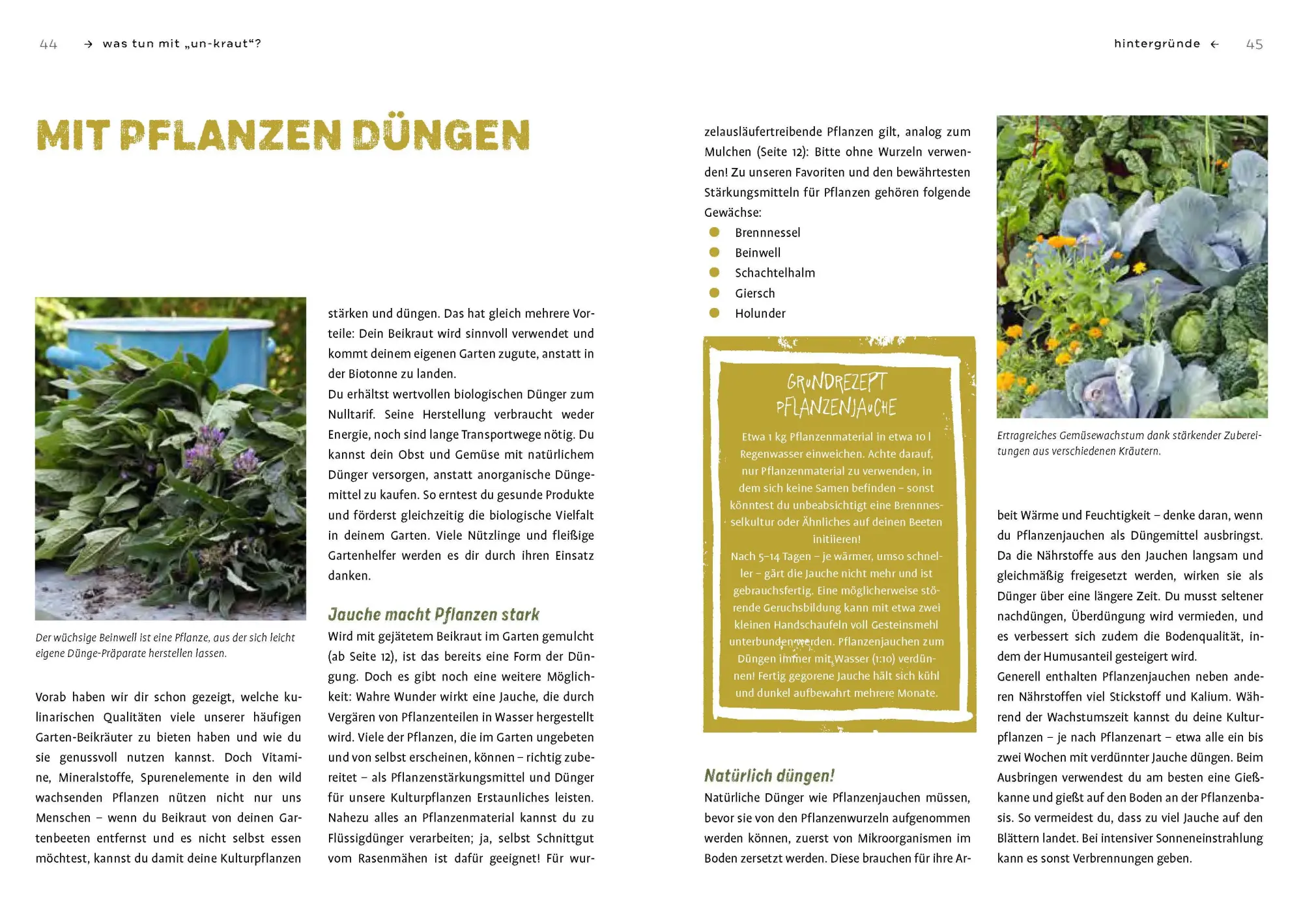 Bild: 9783818615048 | Gartenabfall gibt's nicht | Renate Hudak (u. a.) | Taschenbuch | 2022