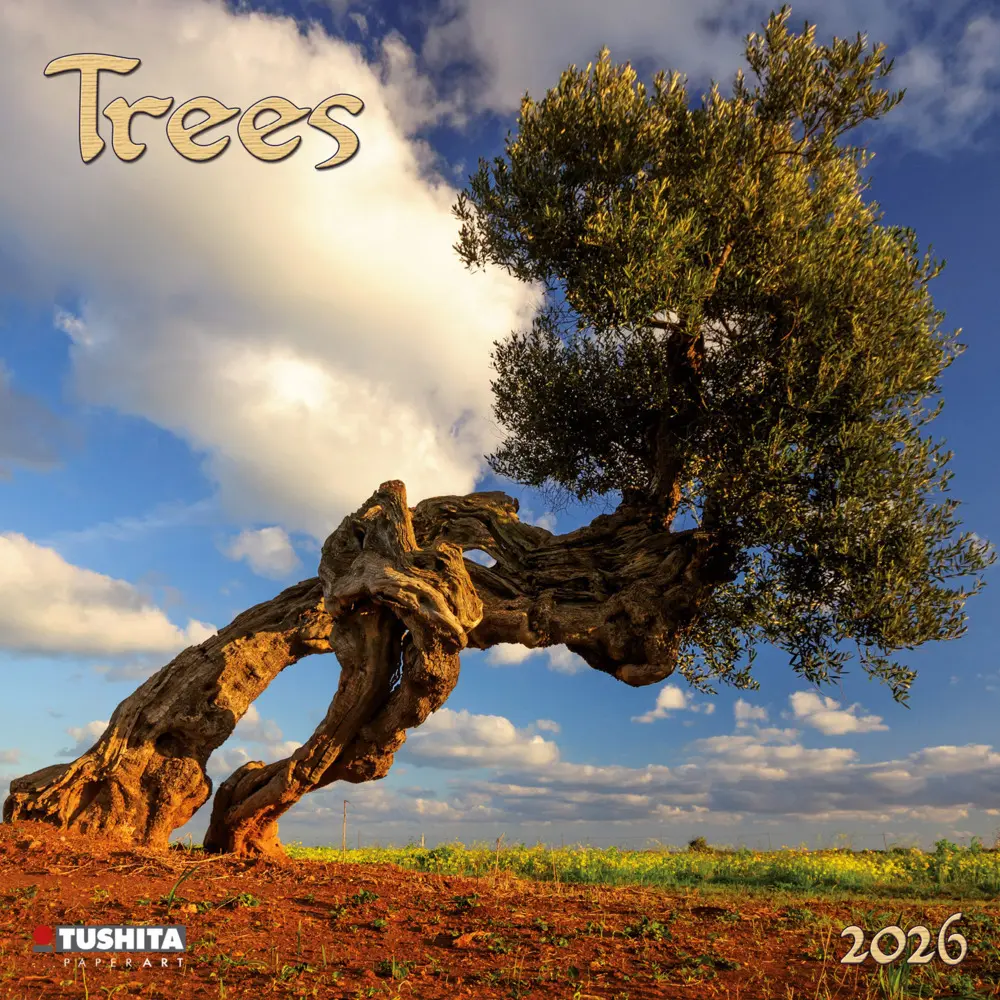 Cover: 9783959295048 | Trees 2026 | Kalender 2026 | Kalender | Drahtheftung | Englisch | 2026
