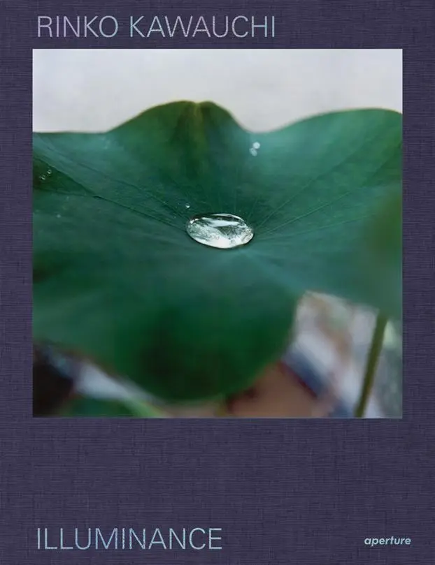 Cover: 9781597115148 | Rinko Kawauchi: Illuminance: The Tenth Anniversary Edition | Buch