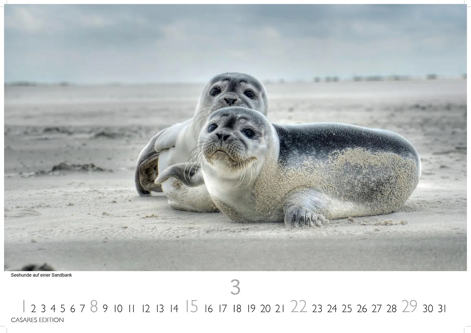 Bild: 9781835245248 | Dänemark 2026 S 24x35cm | Kalender | 14 S. | Deutsch | 2026