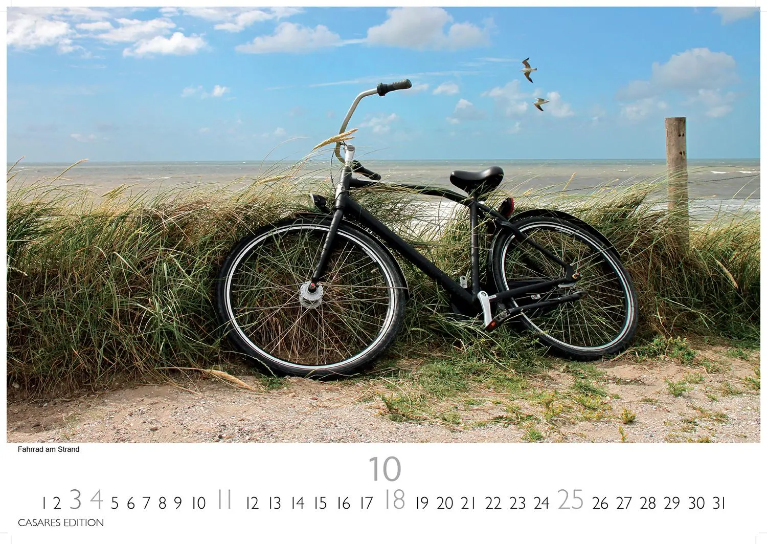 Bild: 9781835245248 | Dänemark 2026 S 24x35cm | Kalender | 14 S. | Deutsch | 2026