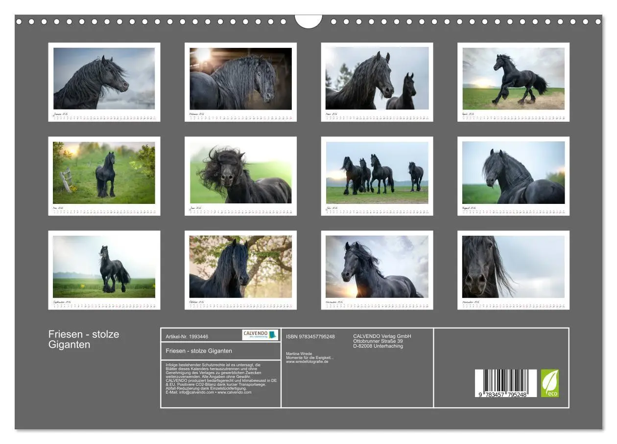 Bild: 9783457795248 | Friesen - stolze Giganten (Wandkalender 2026 DIN A3 quer), CALVENDO...