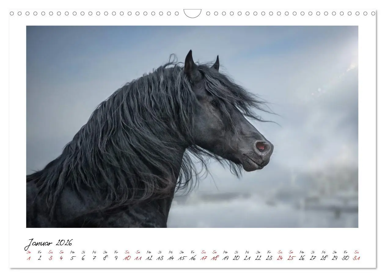 Bild: 9783457795248 | Friesen - stolze Giganten (Wandkalender 2026 DIN A3 quer), CALVENDO...