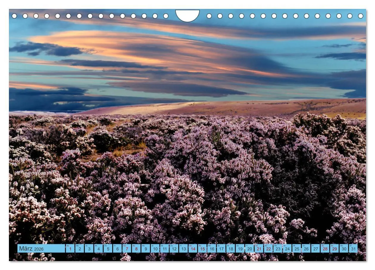 Bild: 9783457935248 | Märchenwelt Patagonien (Wandkalender 2026 DIN A4 quer), CALVENDO...